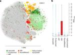 Accuracy test for protein language models shines light into AI ‘black box’