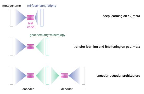 Life & Earth - Deep Transfer Learning